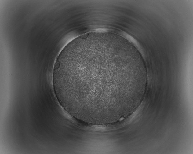 X0000088181194200705221636