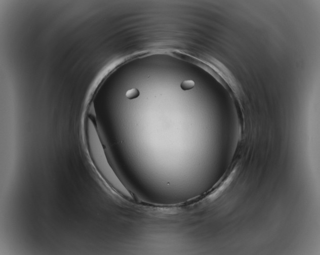 X0000088181196200705221636