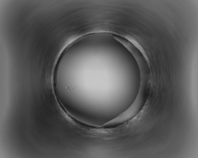 X0000088181197200705221636