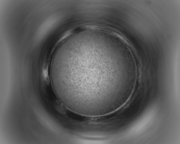 X0000088181198200705221636