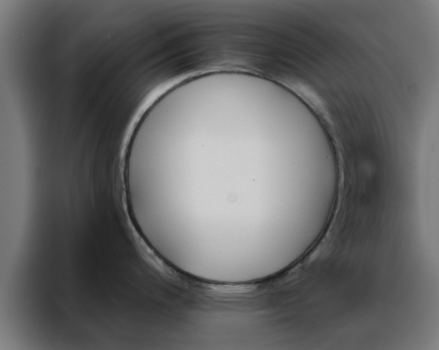X0000088181200200705221636