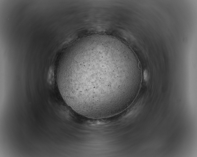 X0000088181203200705221635