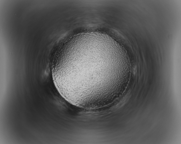 X0000088181204200705221635
