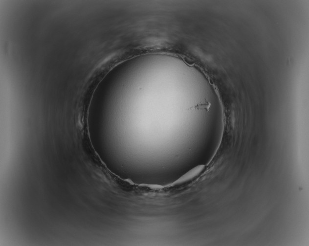 X0000088181206200705221635