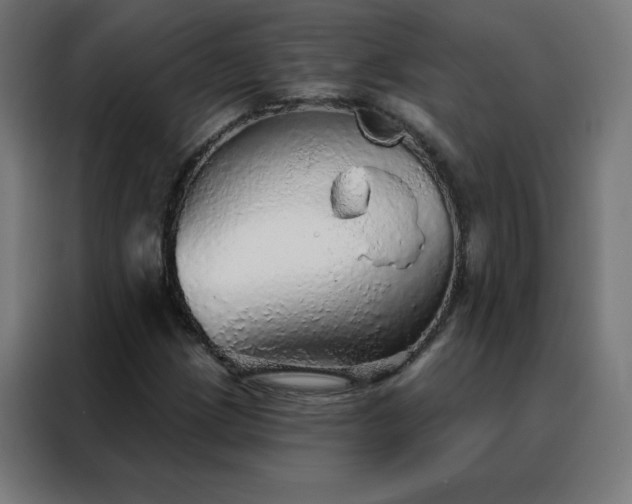 X0000088181209200705221635
