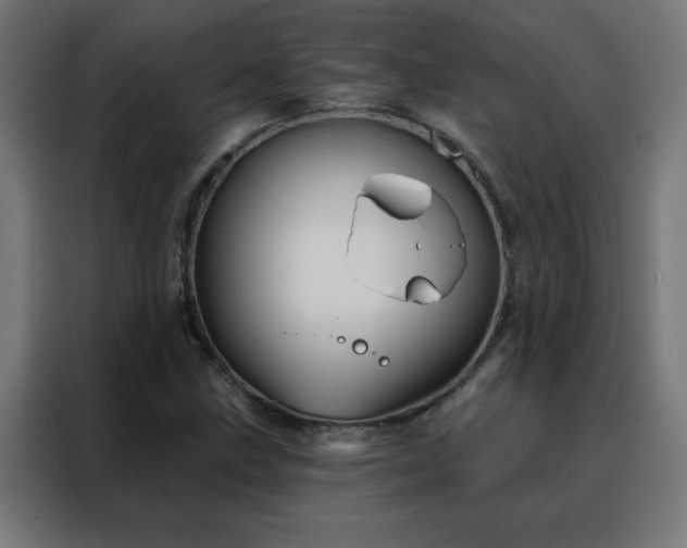 X0000088181211200705221635