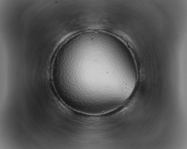 X0000088181212200705221635