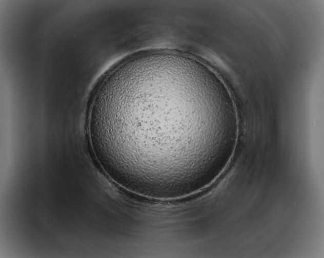 X0000088181216200705221635