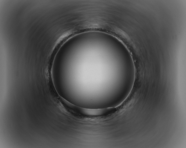 X0000088181218200705221635