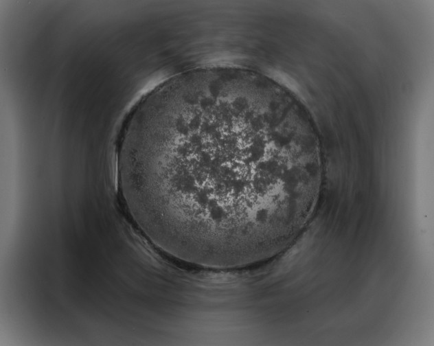 X0000088181219200705221635