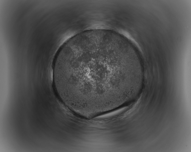 X0000088181221200705221635