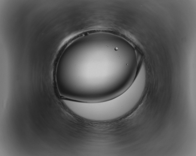 X0000088181222200705221635