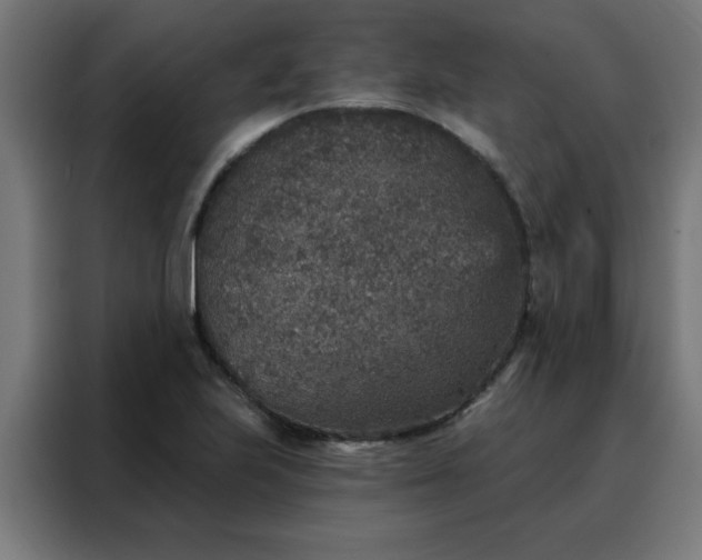 X0000088181223200705221635