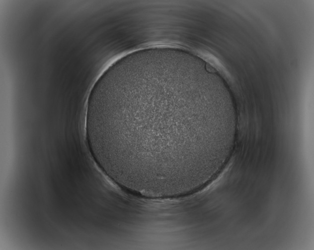 X0000088181228200705221635