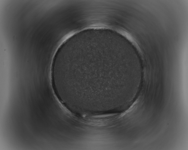 X0000088181229200705221635