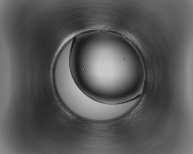 X0000088181230200705221635