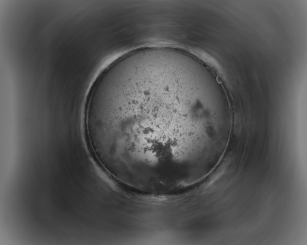 X0000088181231200705221635