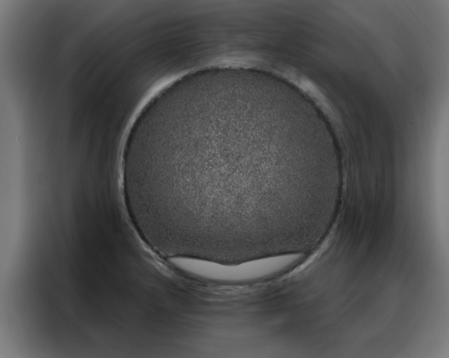X0000088181232200705221635