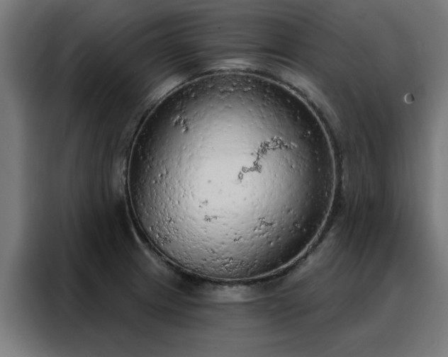 X0000088181233200705221635