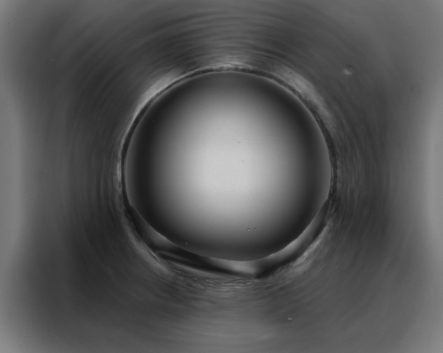 X0000088181234200705221635