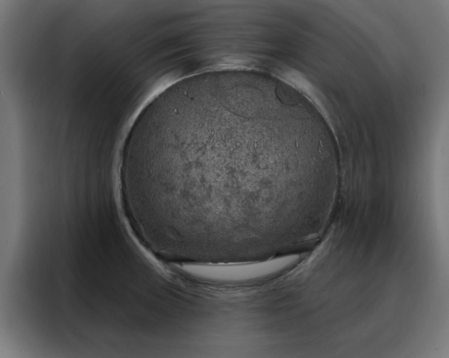 X0000088181235200705221635
