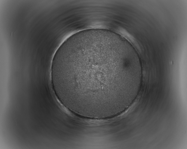 X0000088181236200705221635