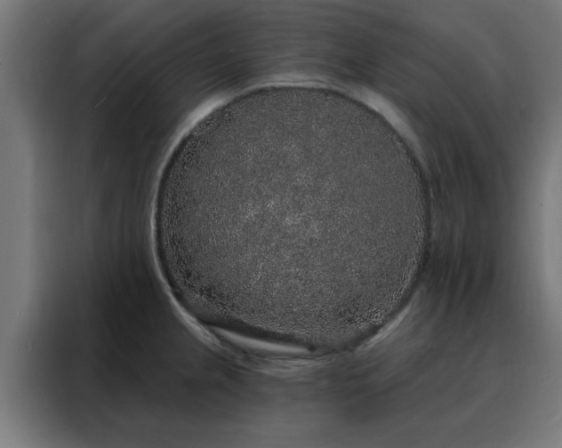 X0000088181237200705221635