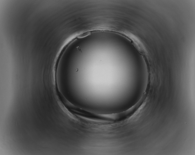 X0000088181238200705221636