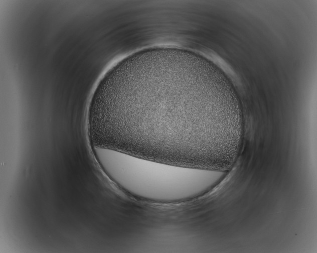 X0000088181240200705221636