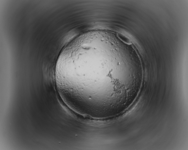 X0000088181241200705221636