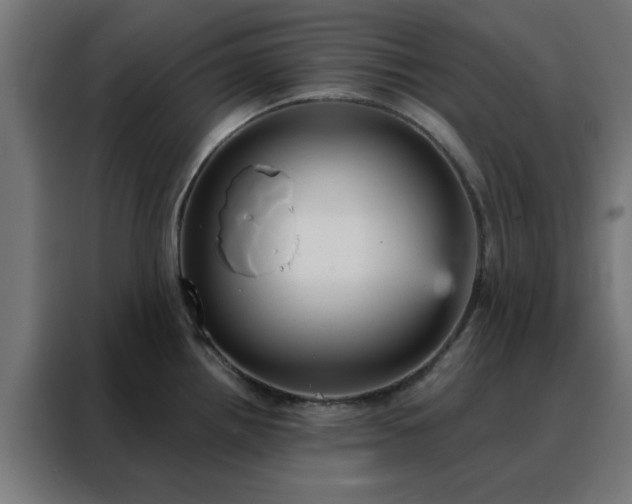 X0000088181242200705221636