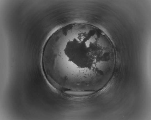 X0000088181245200705221636