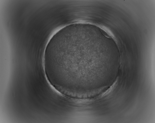 X0000088181247200705221636
