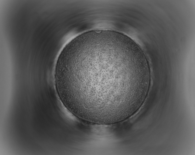 X0000088181248200705221636