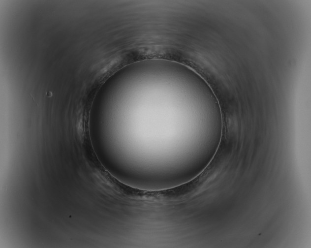 X0000088181250200705221635