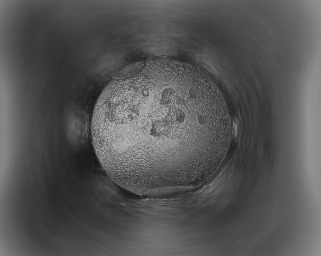X0000088181251200705221635