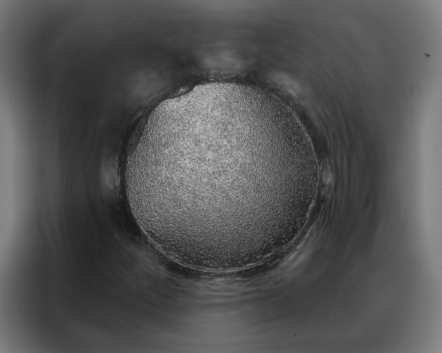X0000088181252200705221635