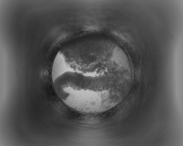 X0000088181254200705221635