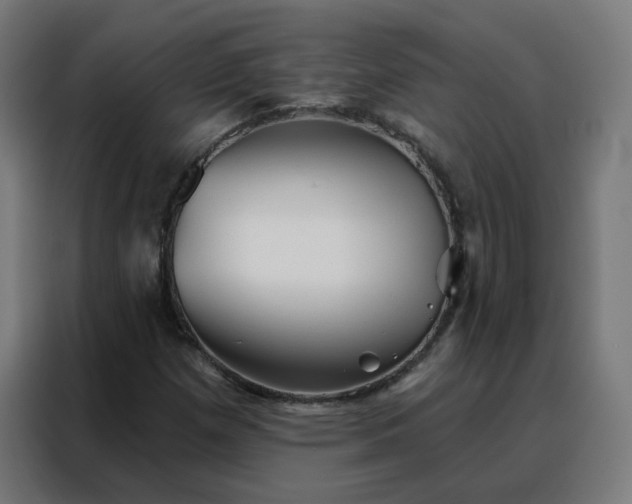 X0000088181257200705221635