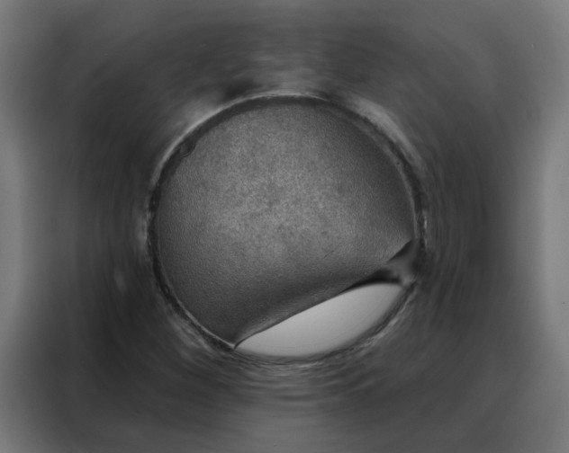 X0000088181260200705221635