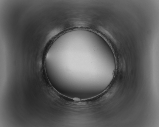 X0000088181261200705221635
