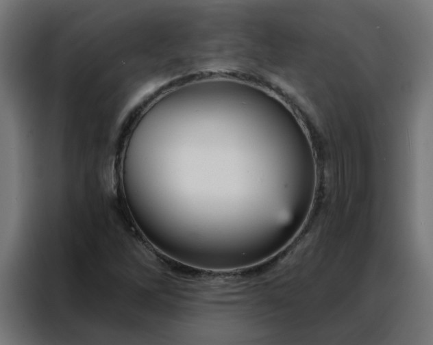 X0000088181262200705221635