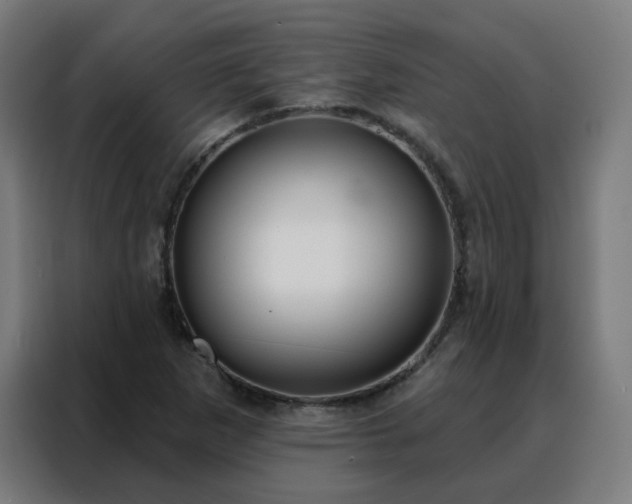 X0000088181265200705221635