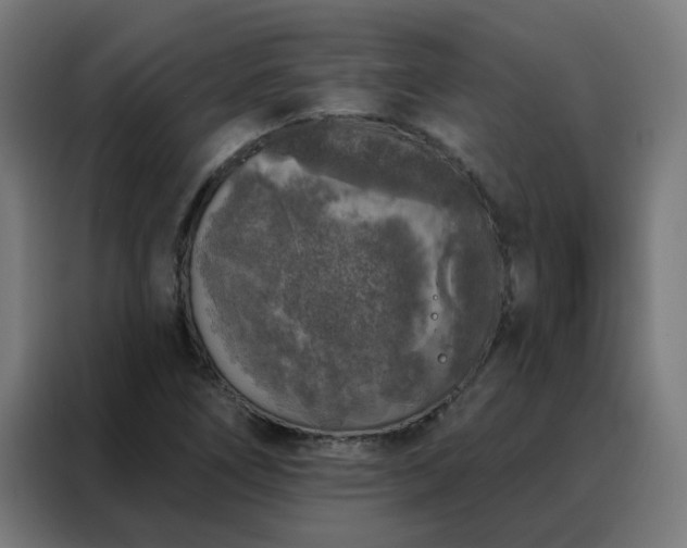 X0000088181266200705221635
