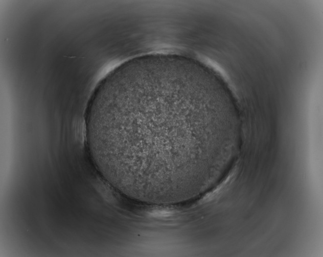 X0000088181267200705221635