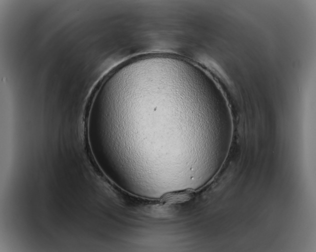 X0000088181268200705221635