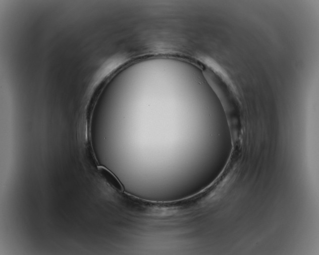 X0000088181269200705221635
