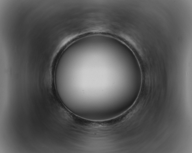 X0000088181270200705221635