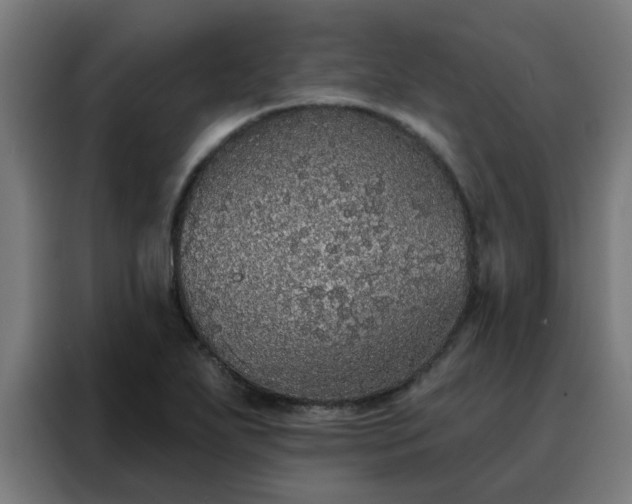 X0000088181271200705221635