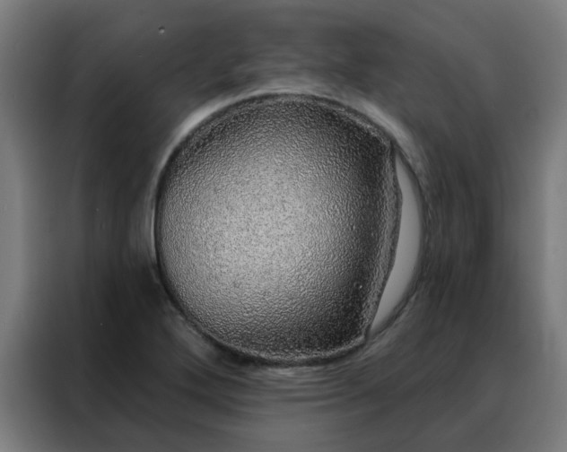 X0000088181272200705221635